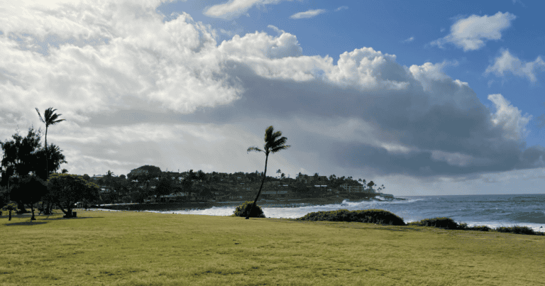 the beach, ocean and hotels on Kauai in the distance