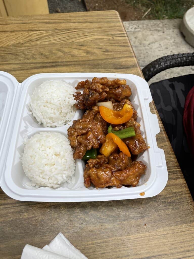 Coconut Thai & Chinese Cuisine Orange Chicken and rice