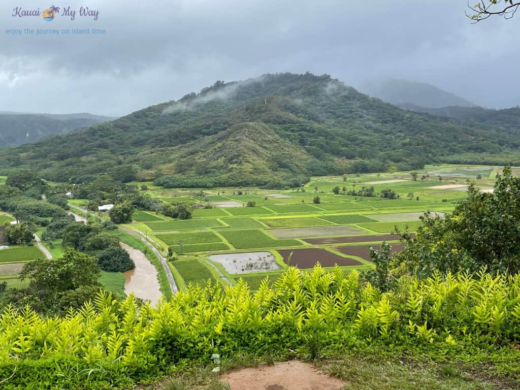 North Shore Kauai Hanalei Valley Lookout