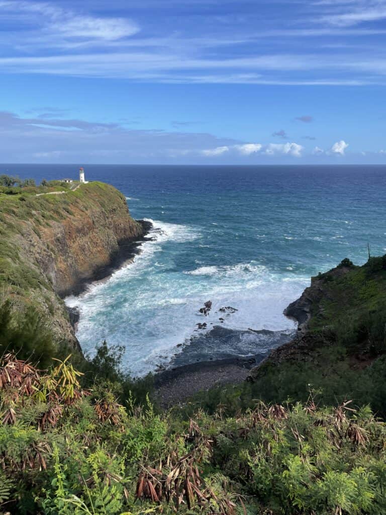 Kilauea Point National Wildlife Refuge, things to do on the North Shore of Kauai