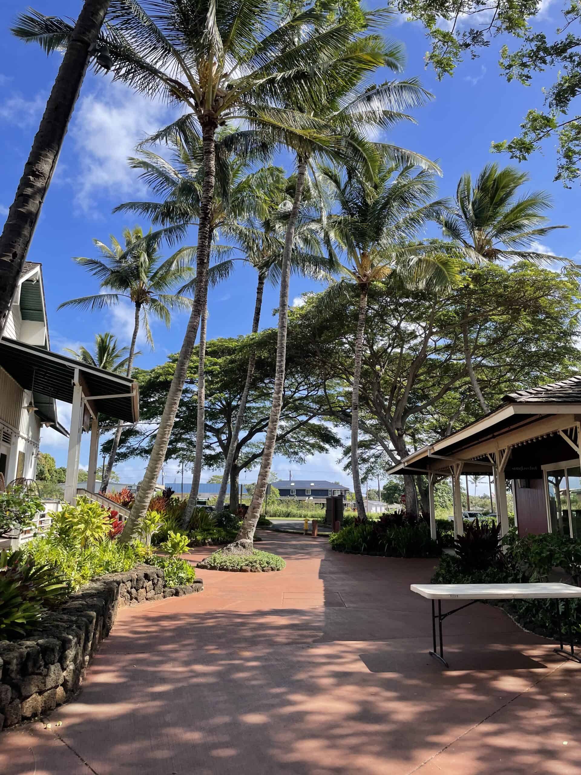 Popular Things to do on the South Shore of Kauai