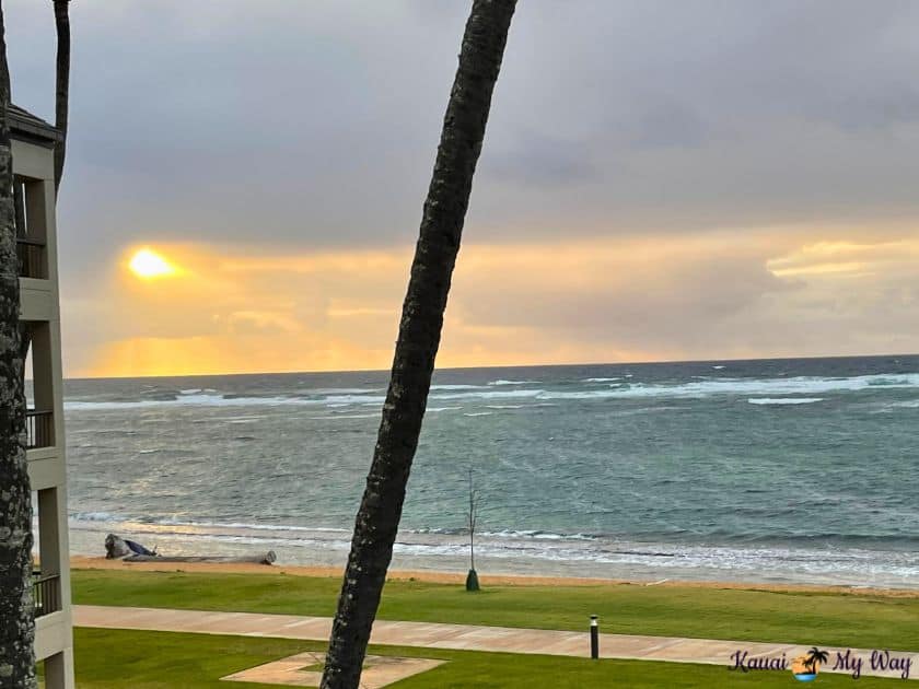 view of the Kapaa bike path on Kauai, one of the things to do on the East side of Kauai