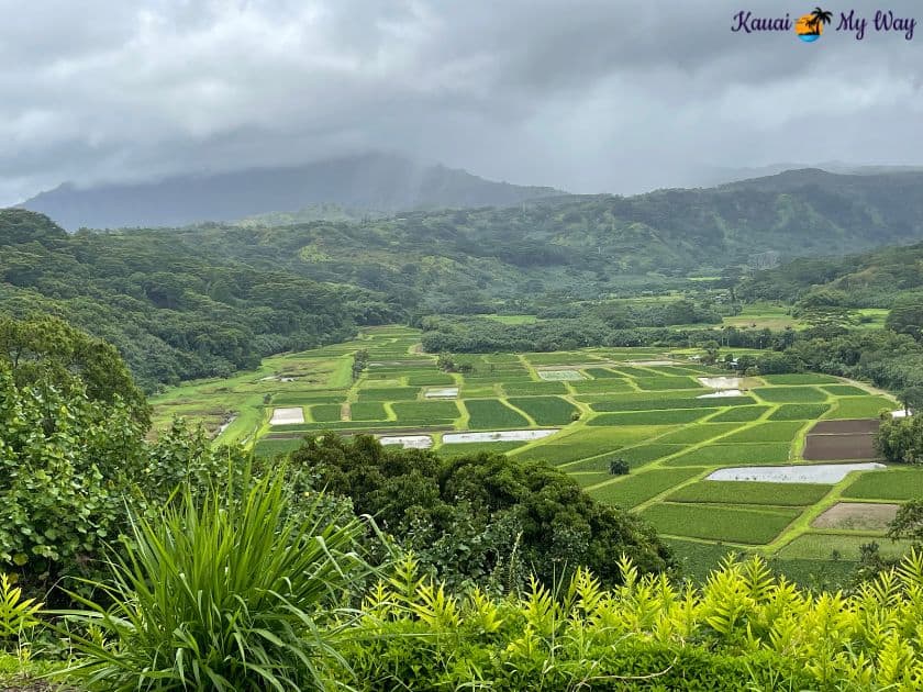 Hanalei Valley Lookout, Hanalei Valley Overlook