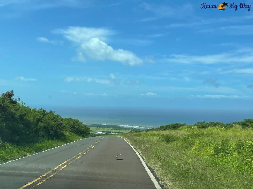 Waimea Canyon return trip with view of the blue sky and the ocean