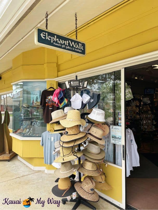 Elephant Walk store at Coconut Marketplace