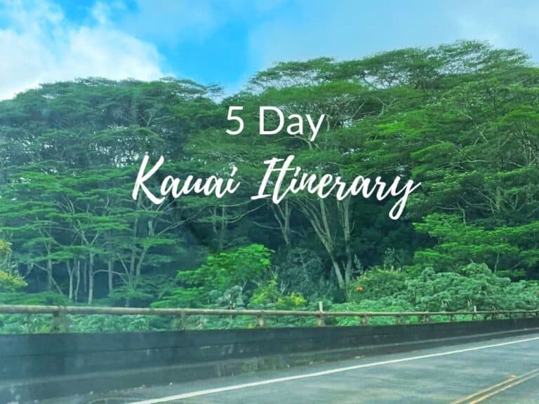 Lush green Kauai forest with scenic highway for tropical Hawaii vacation travel itinerary.