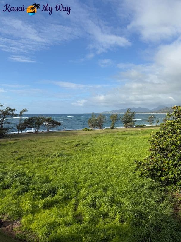 Balcony View at the Sheraton Kauai Coconut Beach Resort