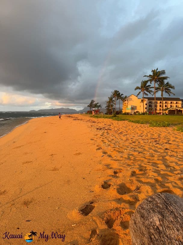 Beach at the Sheraton Kauai Coconut Beach Resort