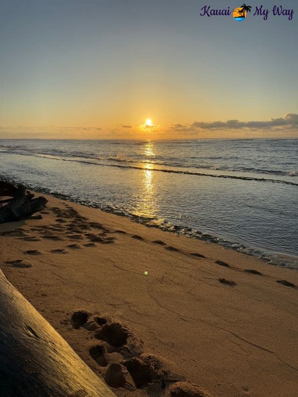 Sunrise at the Sheraton Coconut Beach Resort in Kauai