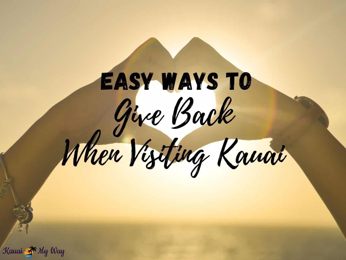 Easy Ways to Give Back When Visiting Kauai