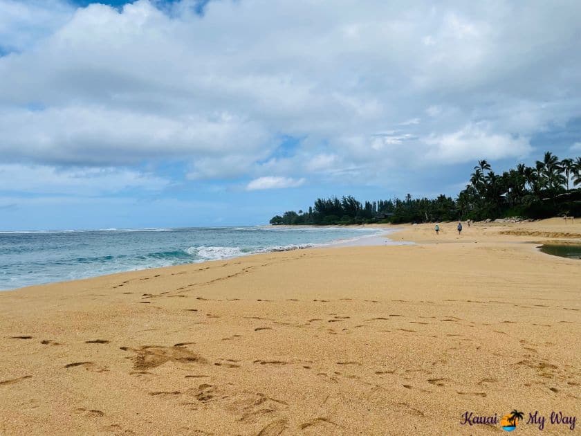 Easy Ways to Give Back When Visiting Kauai- Keep beaches clean